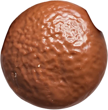 Chocolate pie squishy